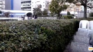 赵总寻花门票118 大胸小少妇狂撕黑丝倒立交 各种高难度